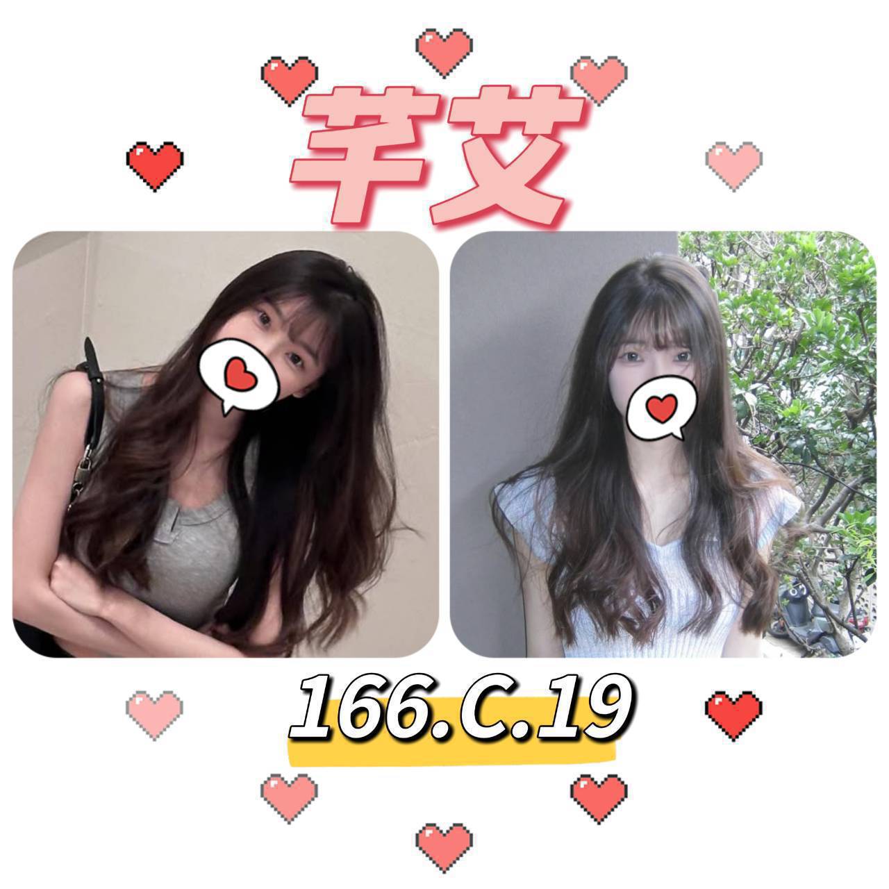 新竹 春杏 34D 擅長海底撈月